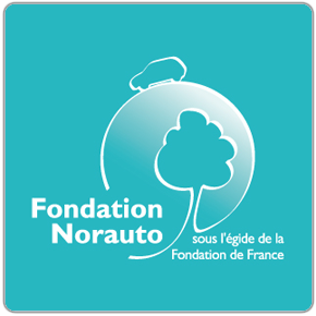 fondation norauto