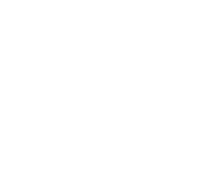 icône blanche fées du sport